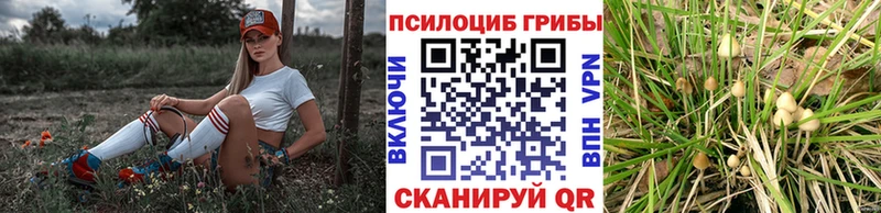 Псилоцибиновые грибы прущие грибы  нарко площадка как зайти  Мелеуз  мега как зайти 